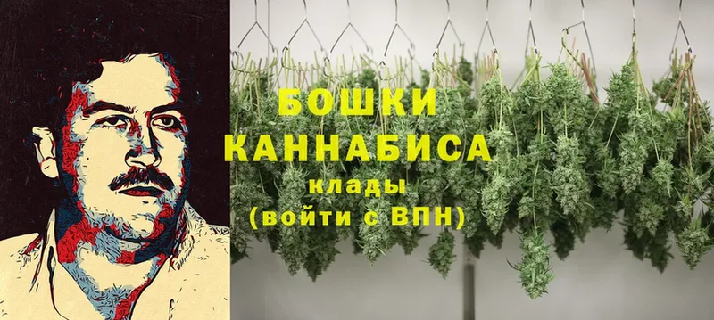 Конопля SATIVA & INDICA  наркошоп  Апшеронск 